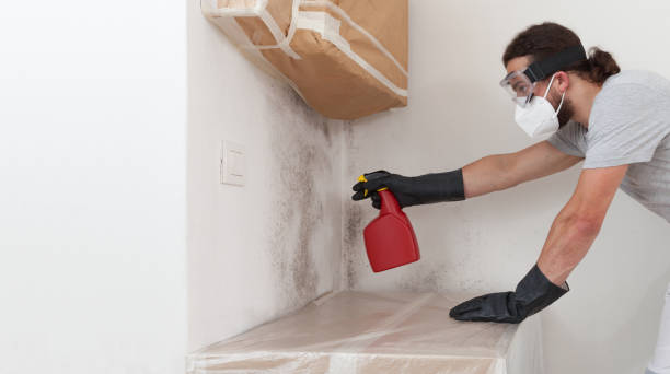 Professional Black Mold Remediation technician working in Bethesda, MD