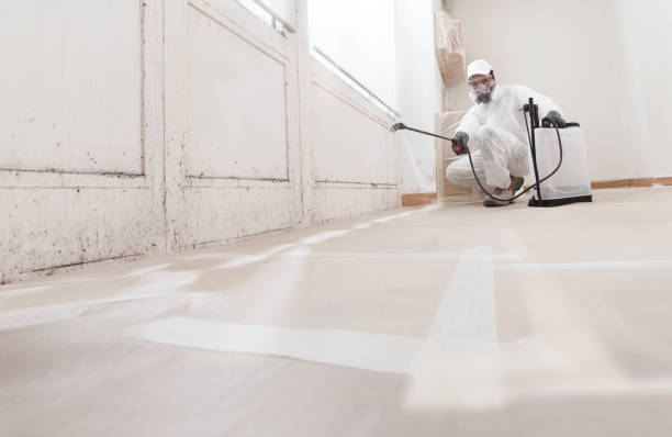 24/7 Emergency Black Mold Remediation experts in Bethesda, MD