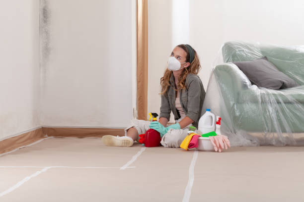 Reliable Black Mold Remediation contractor in Bethesda, MD by Mold Remediation HQ